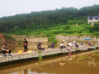 釣魚協會每一屆釣魚比賽活動